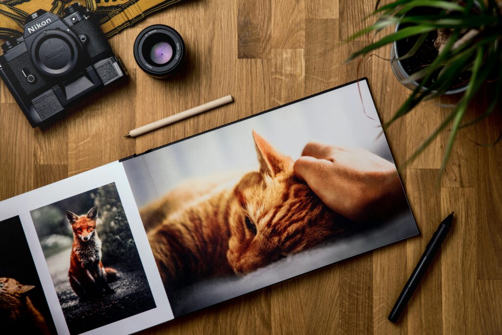 pexels-photo-4553504-4553504 Overhead view of pictures of red cats and fox in opened horizontal photo book surrounded by pens and pot plant next to modern photo camera